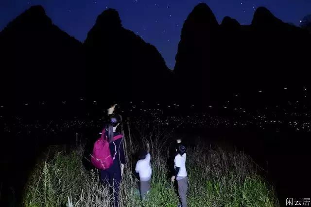 救援小孔雀
