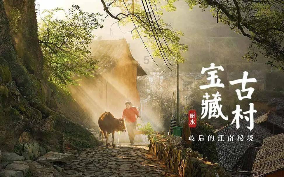 动物家园守卫战