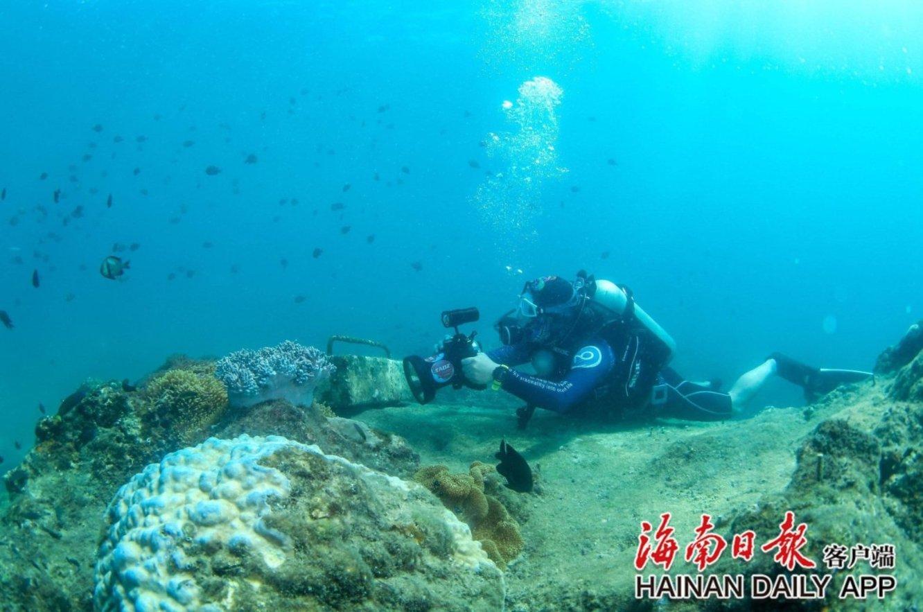 琴覆天下
