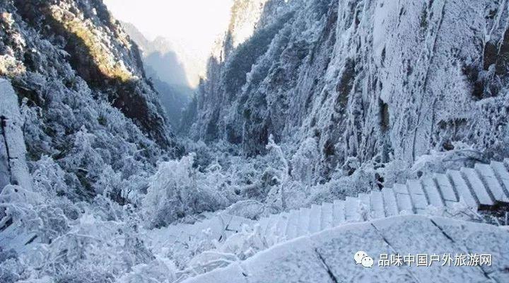赵明剑：朱挺直播退役那么多人看 很NB了，孙叔范叔李明值得办仪式