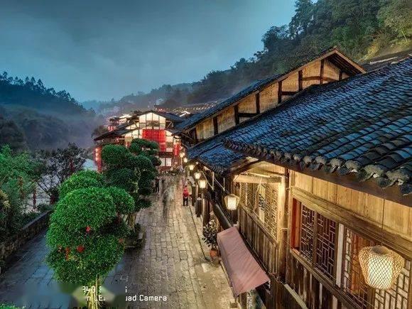 两会好声音丨周登高:让竹林成为美丽“湘”村的风景线